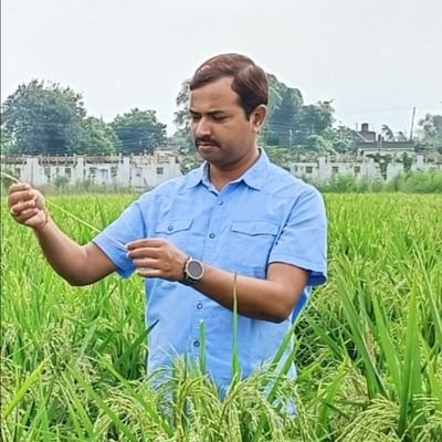 Associate Professor (Ento), Acharya Narendra Deva University of Agriculture and Technology, Kumarganj, Ayodhya,
Formerly, Joint Director, MoAFW, Govt. of India