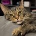 Far Fery๐ฉ๐ปโ๐ฆฑ(Cat Lady) ๐๐ฆ๐๏ธ (@vilgefortz901) Twitter profile photo Far Fery๐ฉ๐ปโ๐ฆฑ(Cat Lady) ๐๐ฆ๐๏ธ (@vilgefortz901) Twitter profile photo