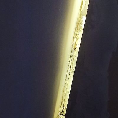 shulong0925's profile picture. 