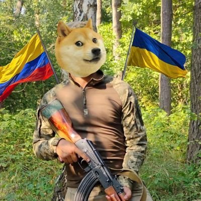 Ralfkel's profile picture. German fella/ Fighting Trolls/ supporting Ukraine since February 2022🇺🇦🇩🇪🇪🇺🌍