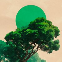 الشمس السعودية (@ksa_rays) 's Twitter Profile