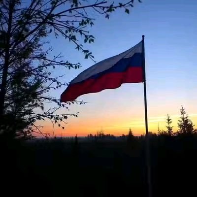 JimSergey72239's profile picture.