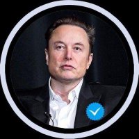 quickly follow and send Me a direct message here (@realelonmuskltd) 's Twitter Profile