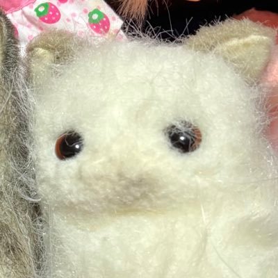 もち✤主義No.11さんのプロフィール画像