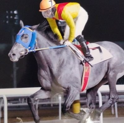 トウホクビジンの末子シラカワノセキ、現役馬スターリーソング、引退馬メジャーアスリートのオーナー。全馬最後まで大切に。
YouTube:https://t.co/qH2RZtB0LS
かなう:https://t.co/4EqnwR5Fgg