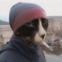 Haru (@shinzuronowoe) 's Twitter Profile