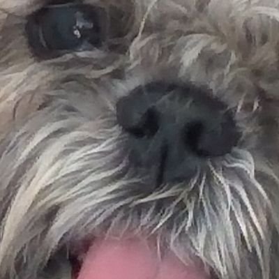 VinceMiche79061's profile picture. 🐶🐱🎗️🇫🇷