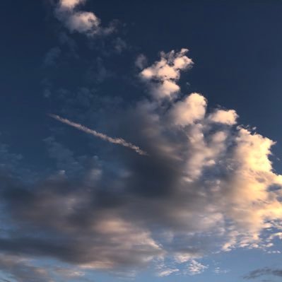 fairiesflowlove's profile picture. i post my thoughts here so i feel less alone - 51🔄