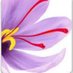 kohinoor saffron (@kohinoorsaffron) Twitter profile photo kohinoor saffron (@kohinoorsaffron) Twitter profile photo