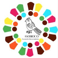 Asobioco (@asobioco) 's Twitter Profile Photo Asobioco (@asobioco) 's Twitter Profile Photo