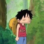 Ford_o_o's profile picture. 🇯🇵