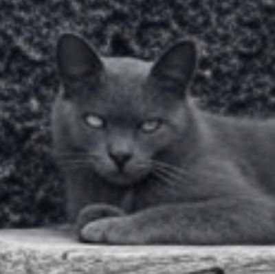 Ivan1993187's profile picture. Hello