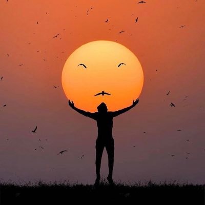 maurastafari's profile picture. 