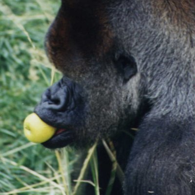 Baddabing4u's profile picture. 