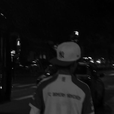 flavio. Profile