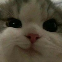 KL.COM (@kl_com9) 's Twitter Profile