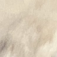 ´´ ´さんのプロフィール画像