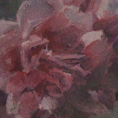 L87443Lucia's profile picture. 