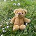 TeddyAdoptionUK (@savethetedsuk) Twitter profile photo TeddyAdoptionUK (@savethetedsuk) Twitter profile photo