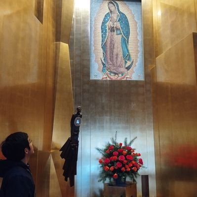 more_economics's profile picture. Católico y todo lo demás es por añadidura