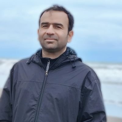 استادیار دانشگاه، پژوهشگر مدیریت شهری و شهردار سابق کرمان
