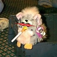 Corndog (@stackcorndog) 's Twitter Profile Photo Corndog (@stackcorndog) 's Twitter Profile Photo