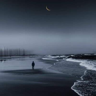 frieden23976's profile picture. 