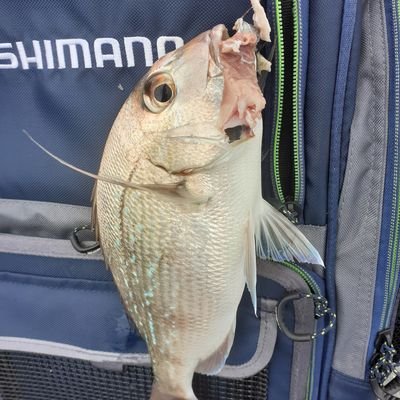 steve192987606's profile picture. 