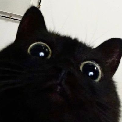 bbasjtr4949's profile picture. Bas suradet🧤🧸
mami (list)bokbak dekhudbad