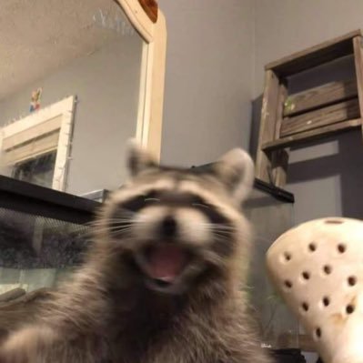 VemmieFromGD's profile picture. 17 y/o f*rry | gd stargrinder & future creator | vinnydotwav on discord