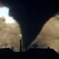 Chicken's Michigan Tornadoes (@hollandmispouts) 's Twitter Profile