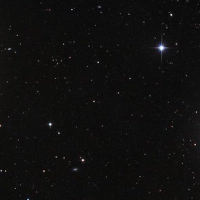 trueangelll0's profile picture. 