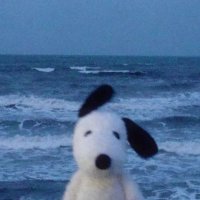 hugo (@huguiilibz) 's Twitter Profile