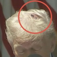 Just gonna leave this right here... (@lulubelle001) 's Twitter Profile Photo