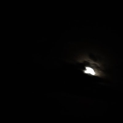 secox05's profile picture. 