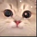 exi_47's profile picture. all my captions are song lyrics :b

going mia