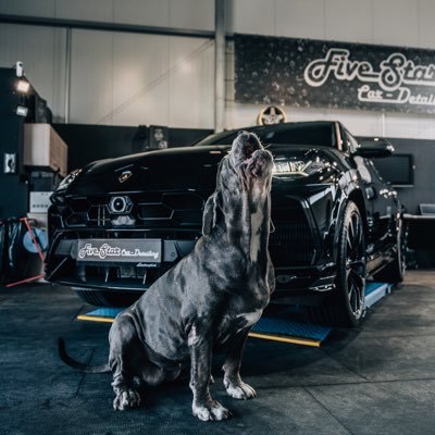 MikeMaske2's profile picture. 