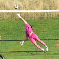 Mr Shaw (@mrshaw_pe) 's Twitter Profile Photo