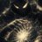 Venom avatar