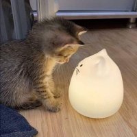 d (@userinaus) 's Twitter Profile