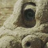 Dung Camera (@anon4xchan) 's Twitter Profile