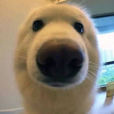 CORAL_さんのプロフィール画像