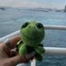 bubi (@bubickouzgun) Twitter profile photo bubi (@bubickouzgun) Twitter profile photo