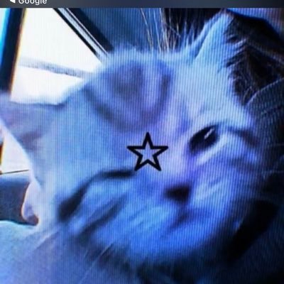 Emmanuel_Tcee's profile picture. Sigh