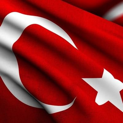 baybarstigin's profile picture. Öğretmen