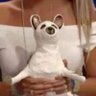 tildeenelnombre's profile picture. Tengo más dosis de vacunas que ex.