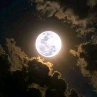 shhynbrhymywsf (@sabrahym5483) Twitter profile photo