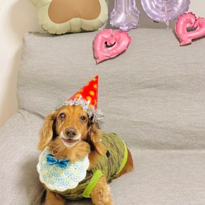 kotsumamachee's profile picture. 