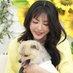 Rose FY (🌻🦋) (@rose85417528514) Twitter profile photo