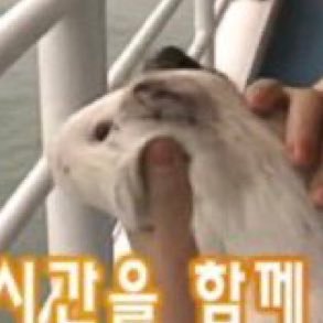 밥만수さんのプロフィール画像